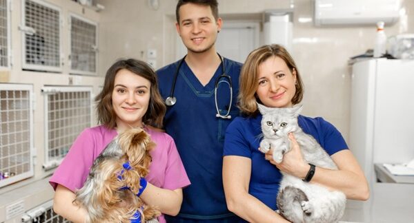 Clínicas veterinarias - Veterinario sosteniendo mascotas y animales domésticos en una de las mejores clínicas veterinarias en Barcelona