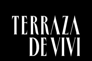 Bares en azoteas - Terraza de Vivi