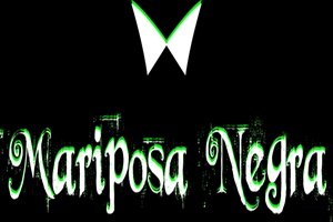 Mariposa Negra