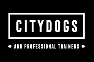 Tiendas de juguetes para perros - CityDogs