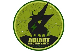 Logo Adiary Electric Barcelona