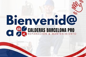 Técnicos de calderas - Logo Calderas Barcelona Pro
